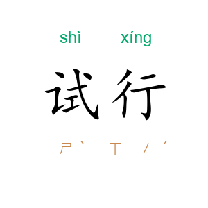 试行