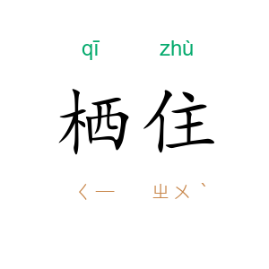栖住