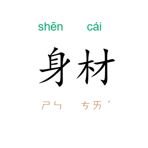 身材