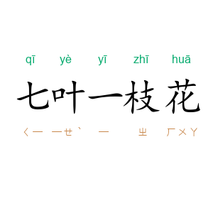 七叶一枝花