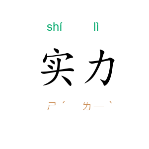 实力