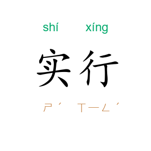 实行