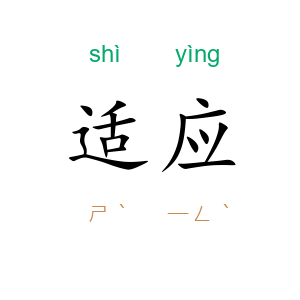 适应