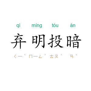 弃明投暗