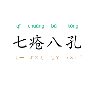 七疮八孔