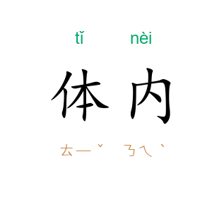 体内