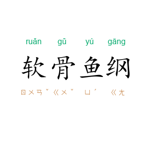 软骨鱼纲