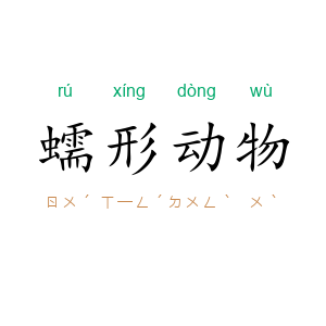 蠕形动物