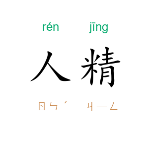 人精