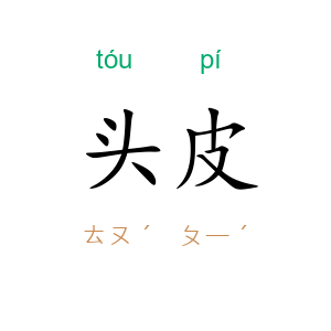头皮