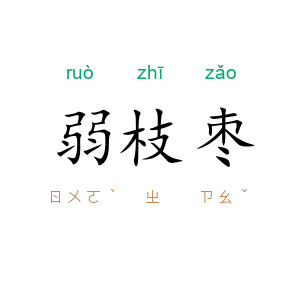 弱枝枣