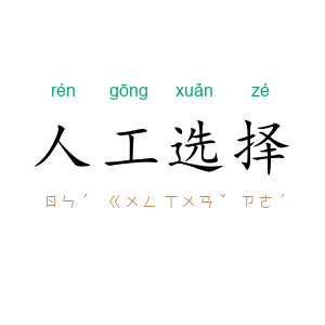 人工选择