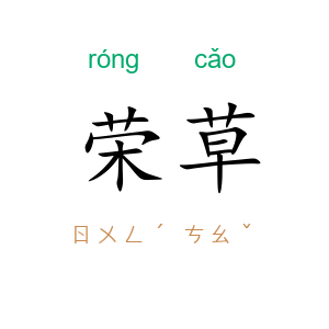荣草
