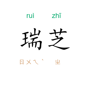 瑞芝