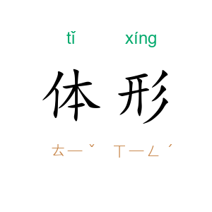 体形