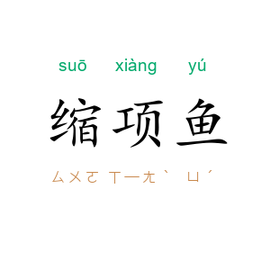 缩项鱼