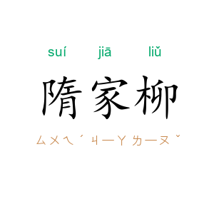 隋家柳