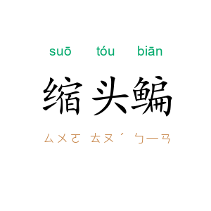 缩头鳊