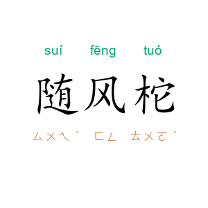 随风柁