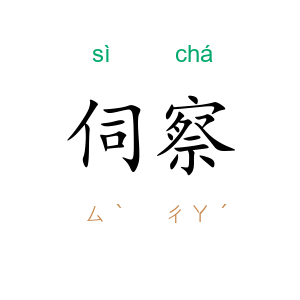 伺察