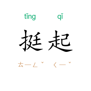 挺起