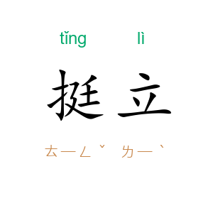 挺立