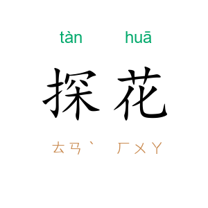 探花