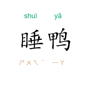 睡鸭