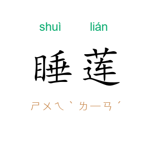 睡莲