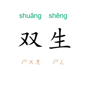 双生
