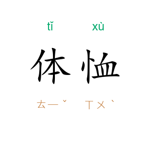 体恤