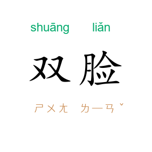 双脸