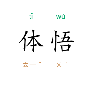 体悟