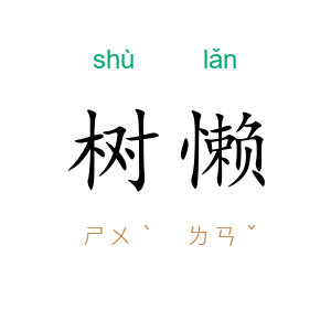 树懒