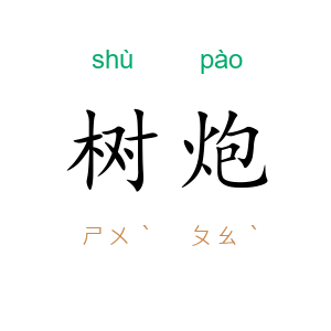 树炮