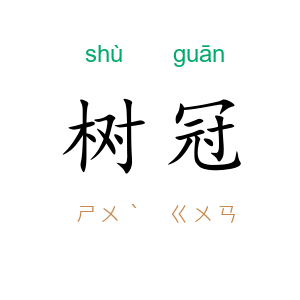树冠