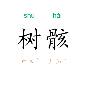树骸