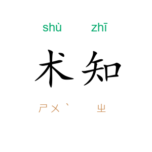 术知