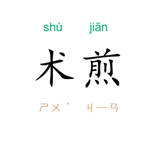 术煎