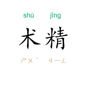 术精