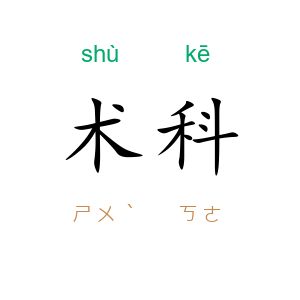 术科