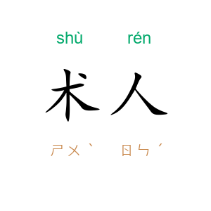 术人