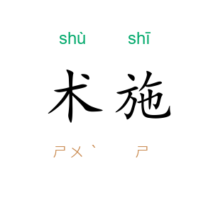 术施