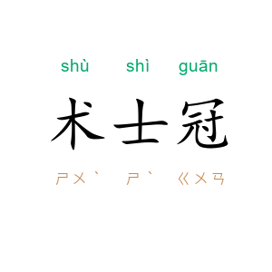 术士冠