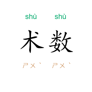 术数