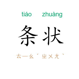 条状