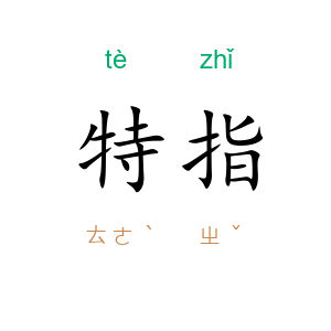 特指