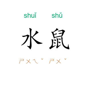 水鼠