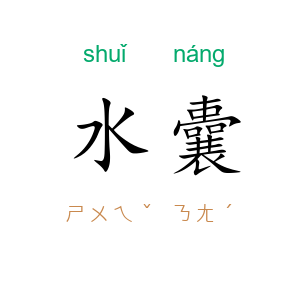 水囊