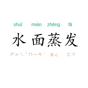 水面蒸发